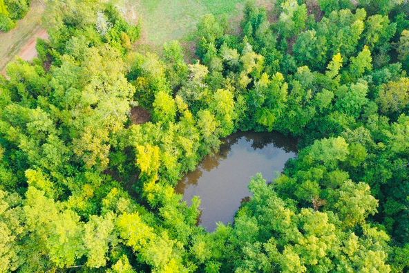 Lot 33 Woodgate Shores Dr: Lot 33 Woodgate Shores Dr, Wedowee, AL 36278